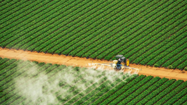 Best Best Pest Control Companies  in Blytheville, AR