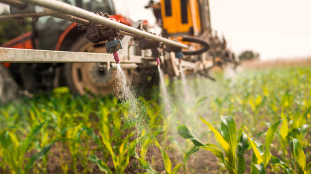 Best Pest Inspection Near Me  in Blytheville, AR